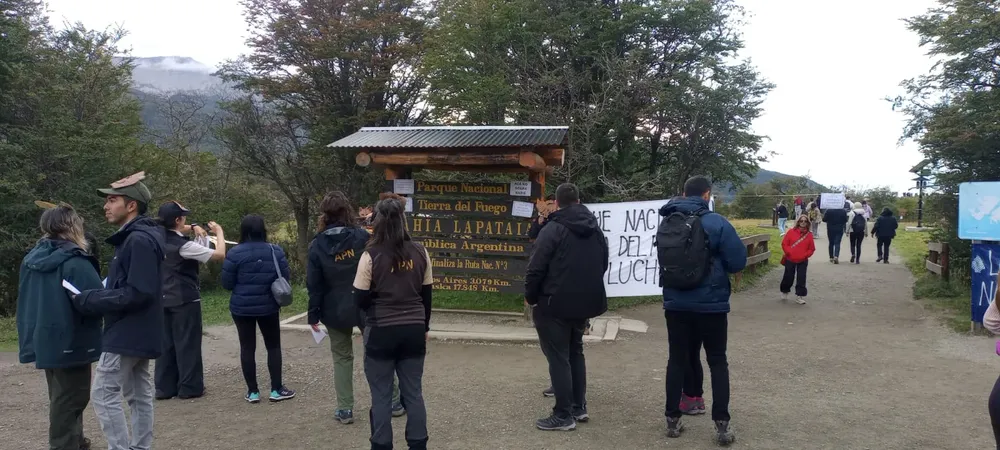 WhatsApp Image 2024-03-26 at 13.26.37