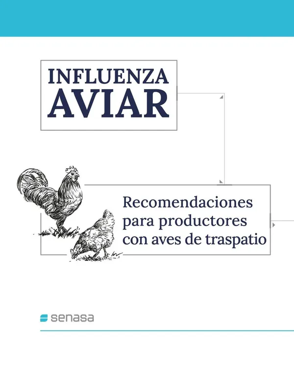 WhatsApp Image 2025-02-12 at 19.13.28(2)