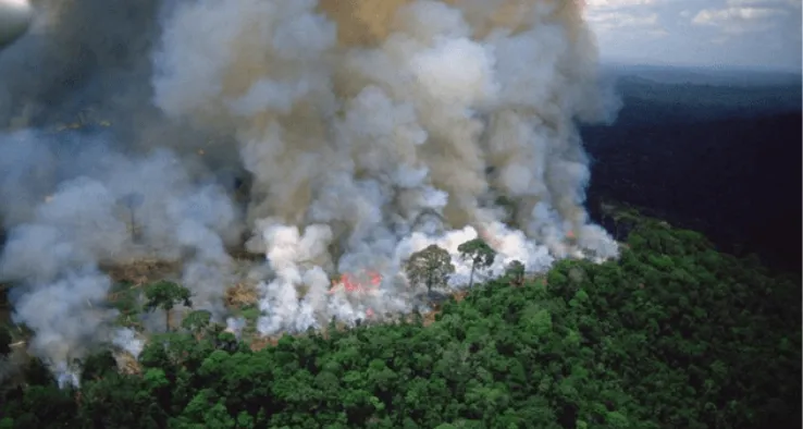 Humo de gran magnitud incendio forestal 2025– Gentileza INTE