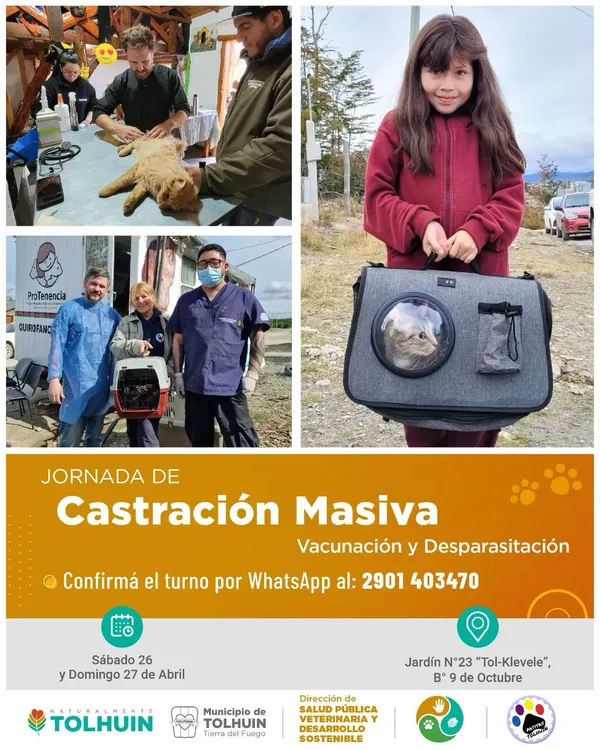 WhatsApp Image 2025-04-21 at 16.25.30