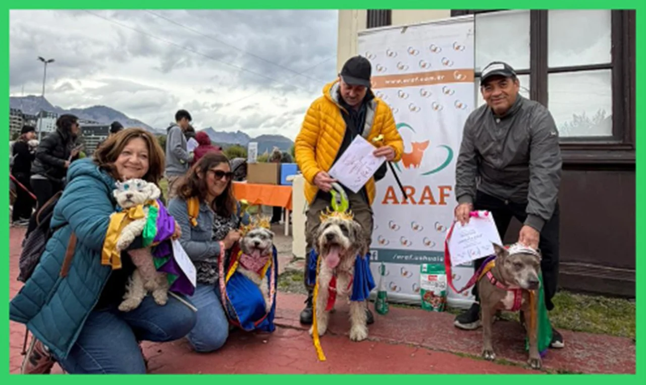 WhatsApp Image 2026-03-04 at 13.29.01