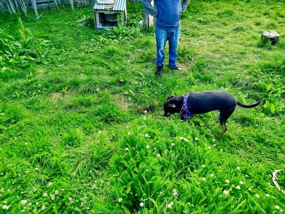 WhatsApp Image 2025-02-28 at 21.17.14(1)