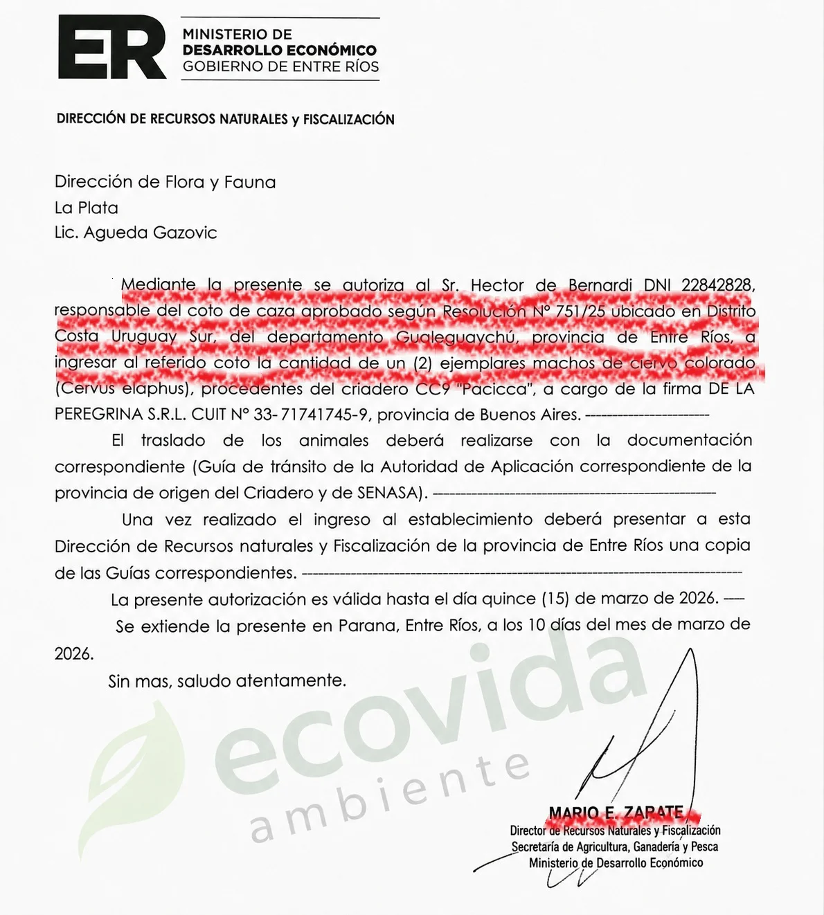 resolucion