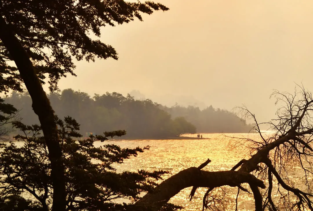 El paraíso convertido en infierno.Zona Norte, Parque Nacional Los Alerces, Chubut, Patagonia Arg (3)