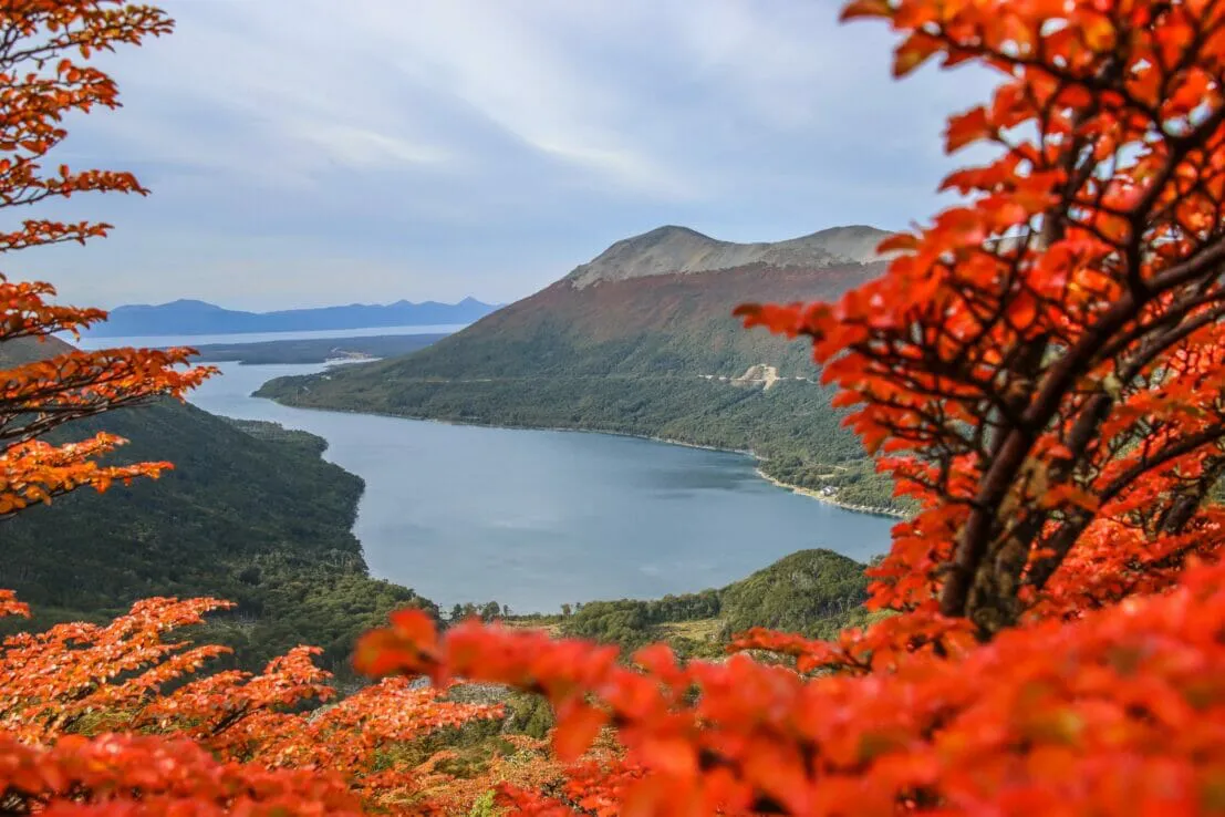 view-of-the-escondido-lake-in-autumm-ushuaia-free-photo