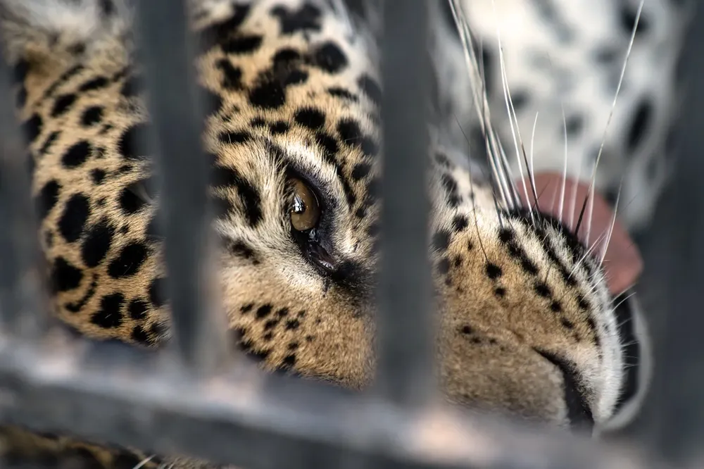 WhatsApp Image 2024-10-25 at 09.15.40