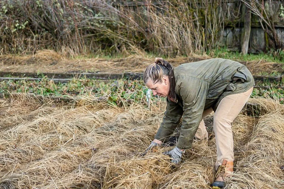 WhatsApp Image 2023-11-08 at 16.27.55