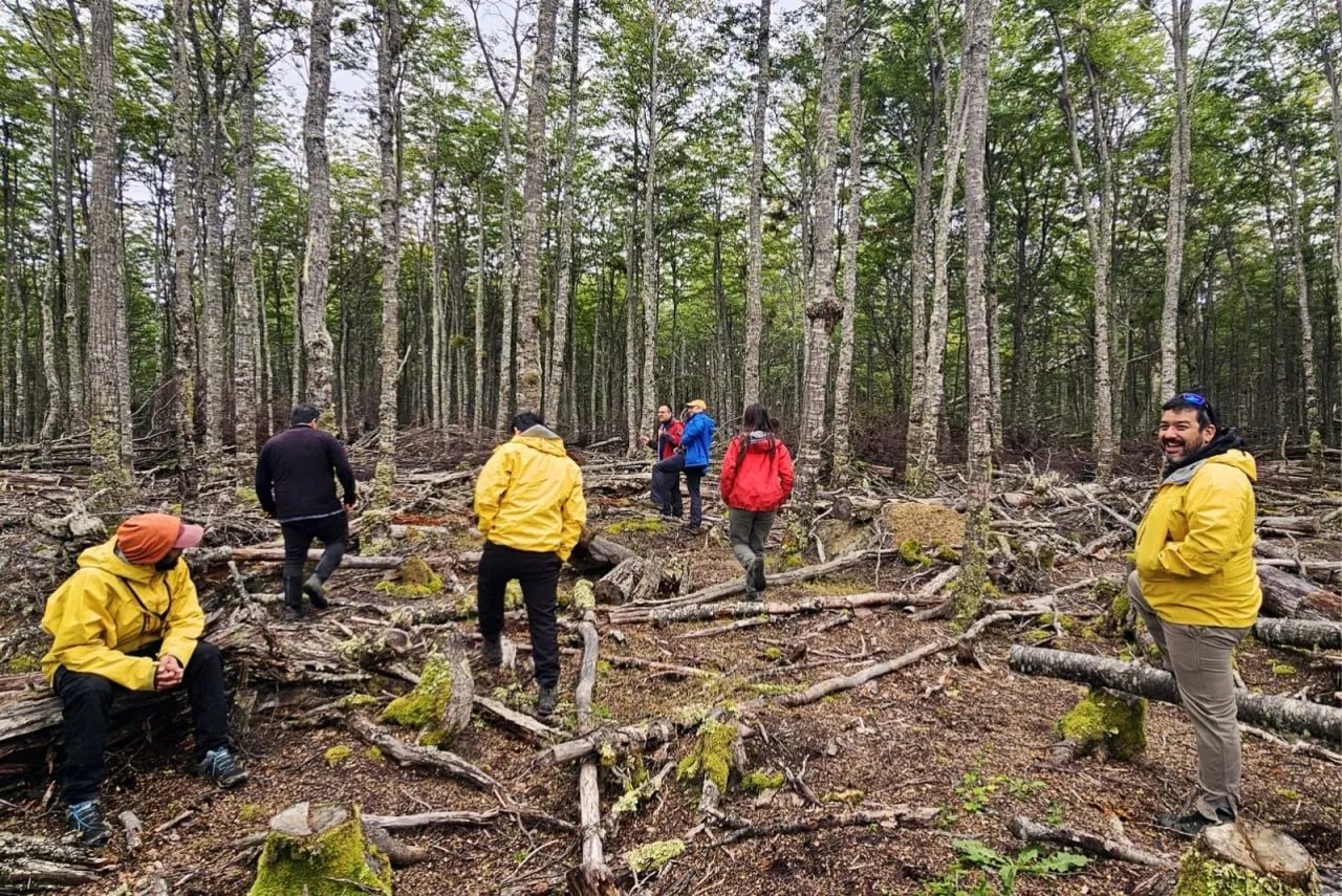 WhatsApp Image 2025-03-27 at 19.48.22(2)