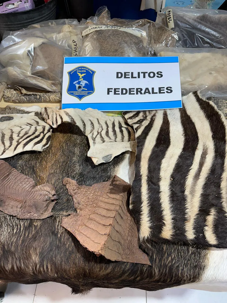 WhatsApp Image 2025-04-25 at 15.34.34