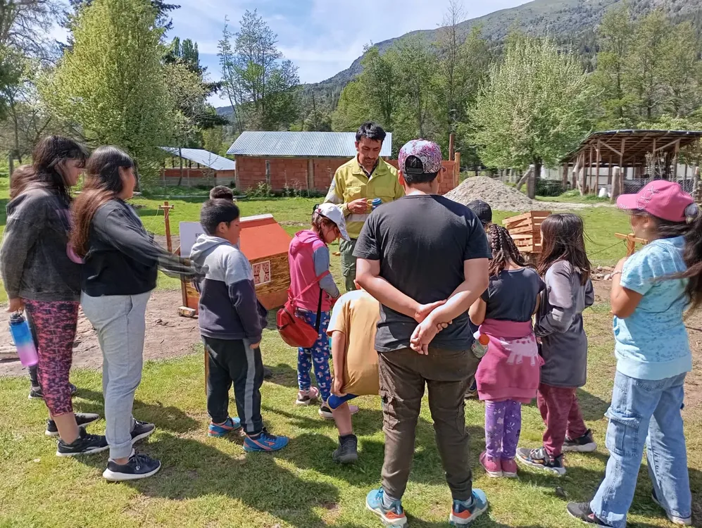 WhatsApp Image 2024-10-30 at 09.22.19 (1)