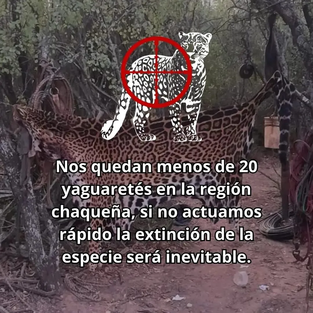 WhatsApp Image 2024-07-31 at 16.06.55(1)