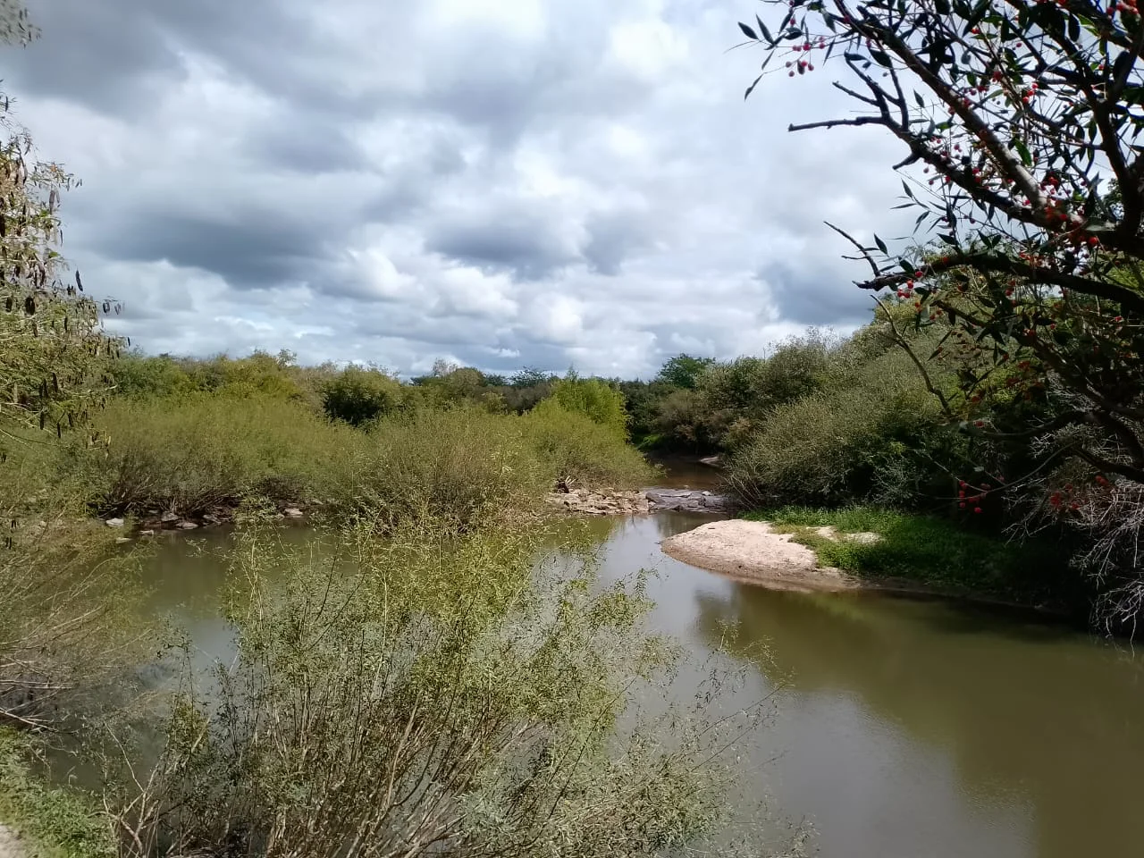 WhatsApp Image 2026-03-29 at 13.38.20