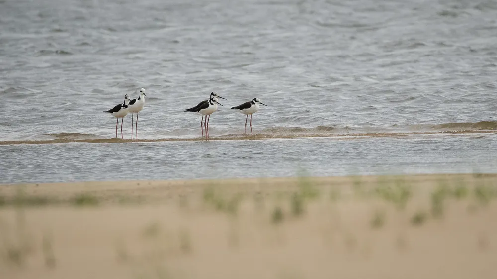 credito_ Rodrigo Folch (3)