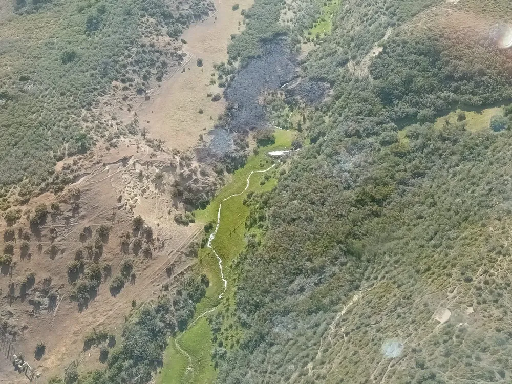 WhatsApp Image 2024-01-29 at 22.53.52