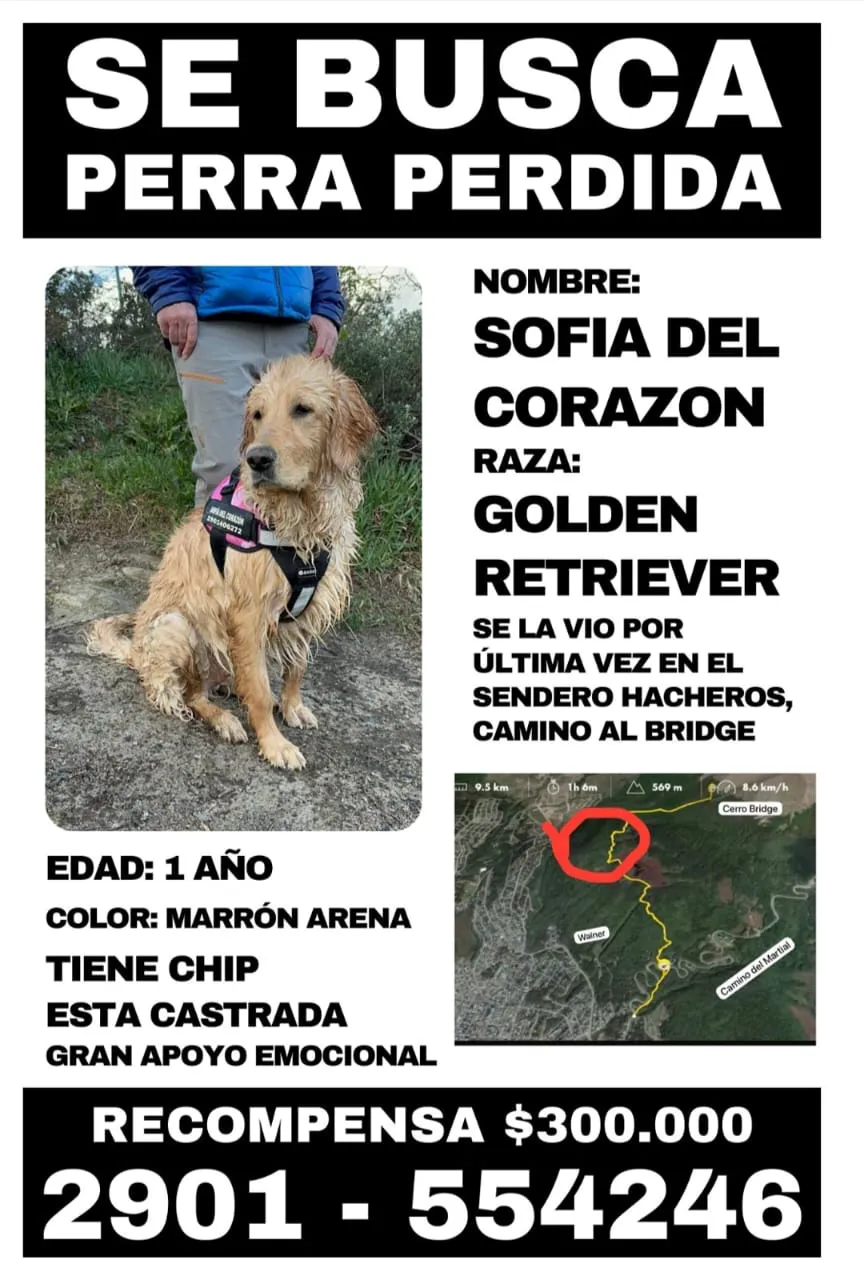 WhatsApp Image 2024-05-16 at 18.21.41