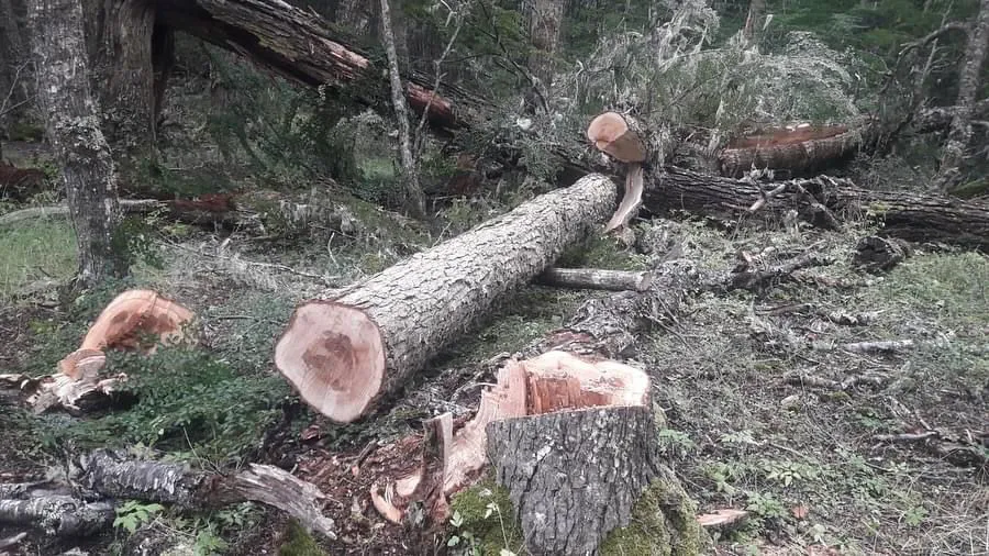 WhatsApp Image 2024-10-07 at 11.53.06