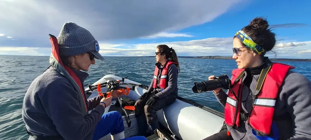 Investigadoras del Instituto de Conservación de Ballenas durante un relevamiento aéreo para fotoidentificación desde una embarcación en el Golfo San José. @Instituto de Conservación de Ballenas (ICB)