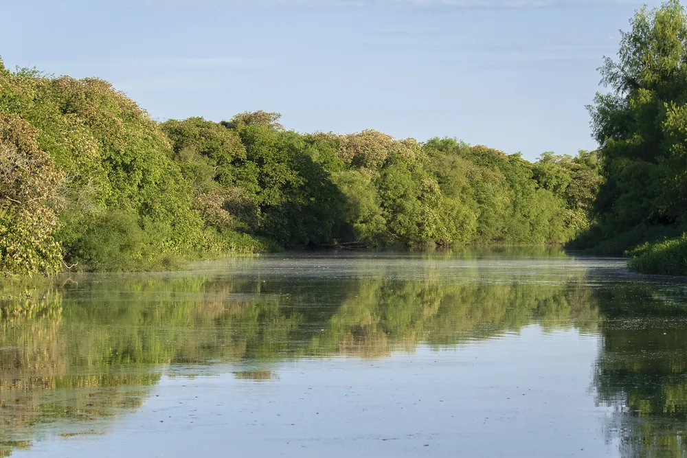 credito_ Rodrigo Folch (2)