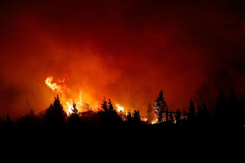 a48580b3-incendios-en-epuyen-©-matias-garay-greenpeace-07-1024x683