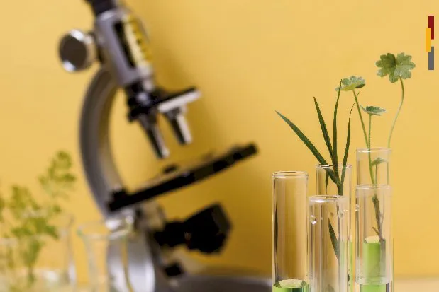 sec_de_extension_el_club_de_ciencias-05_1719841198