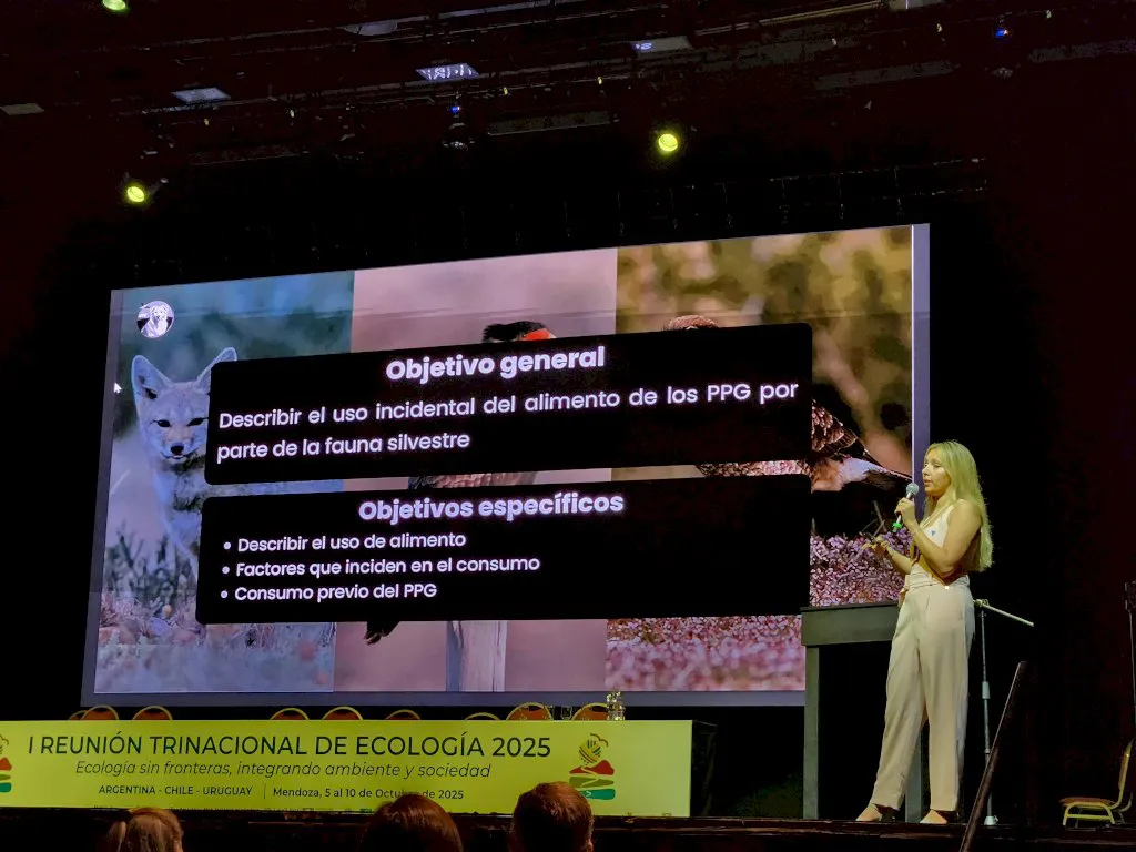 whatsapp image 2026-02-10 at 11.51.25_1770740735