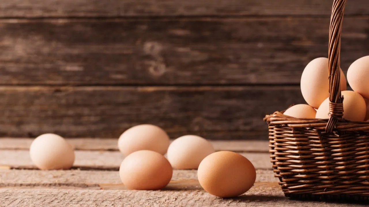 huevos1