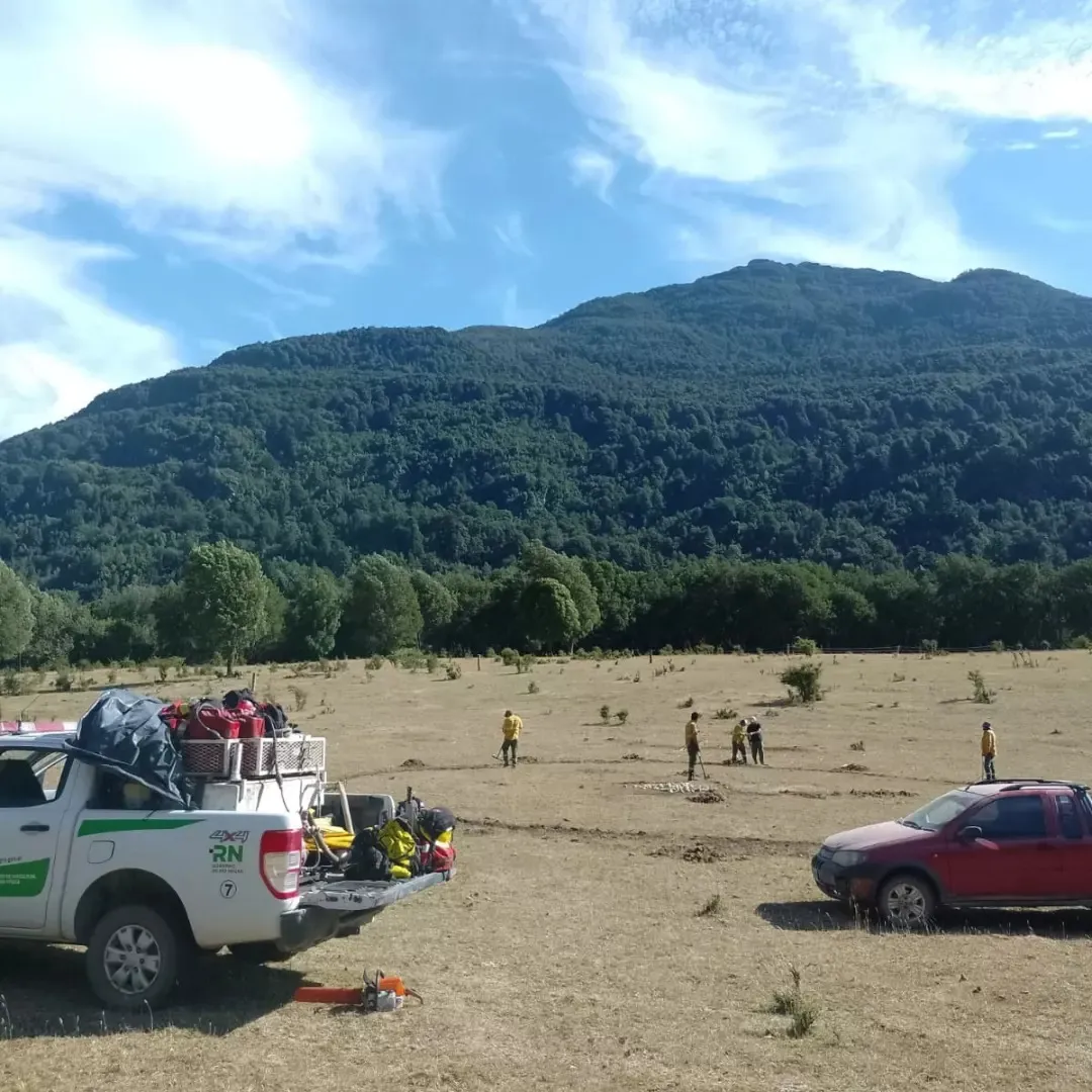 WhatsApp Image 2024-02-12 at 22.22.41 (4)