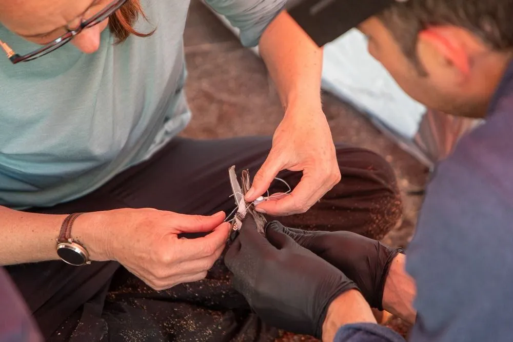 WhatsApp Image 2026-02-10 at 23.50.40 (4)