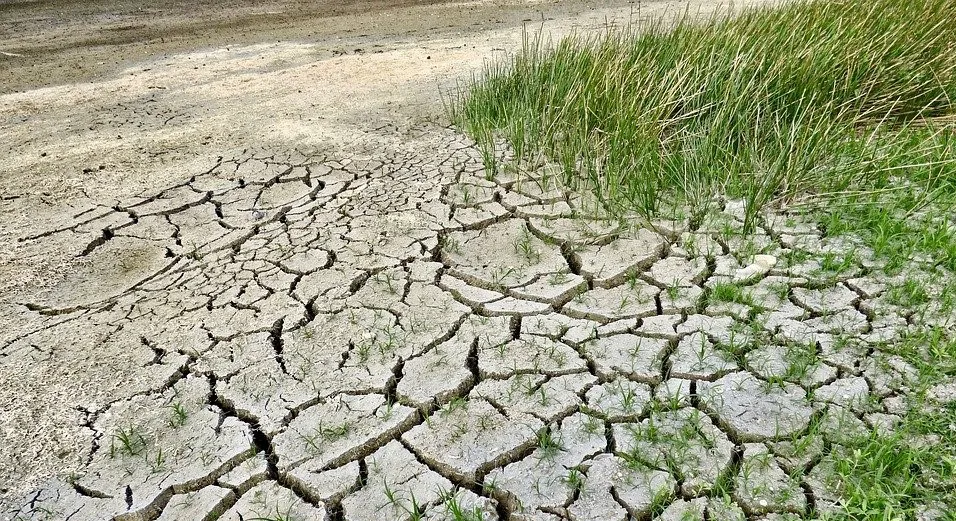 Desertificacion avanzando en Argentina - foto NR
