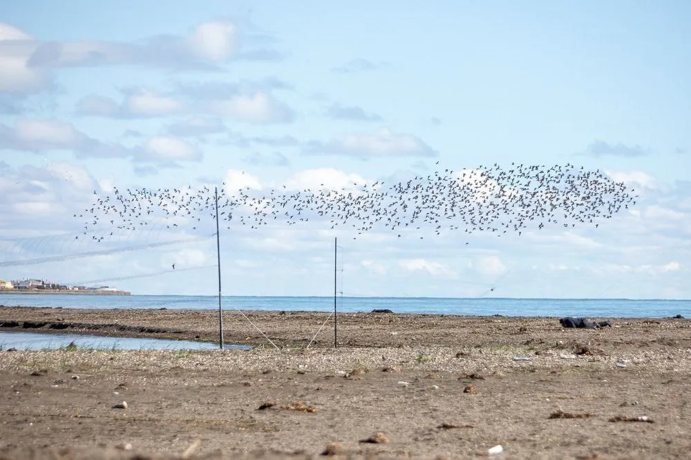 WhatsApp Image 2026-02-10 at 23.50.41 (1)