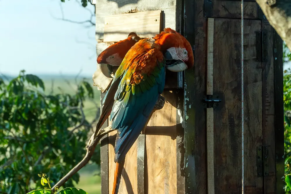 WhatsApp Image 2024-10-25 at 09.15.22 (1)