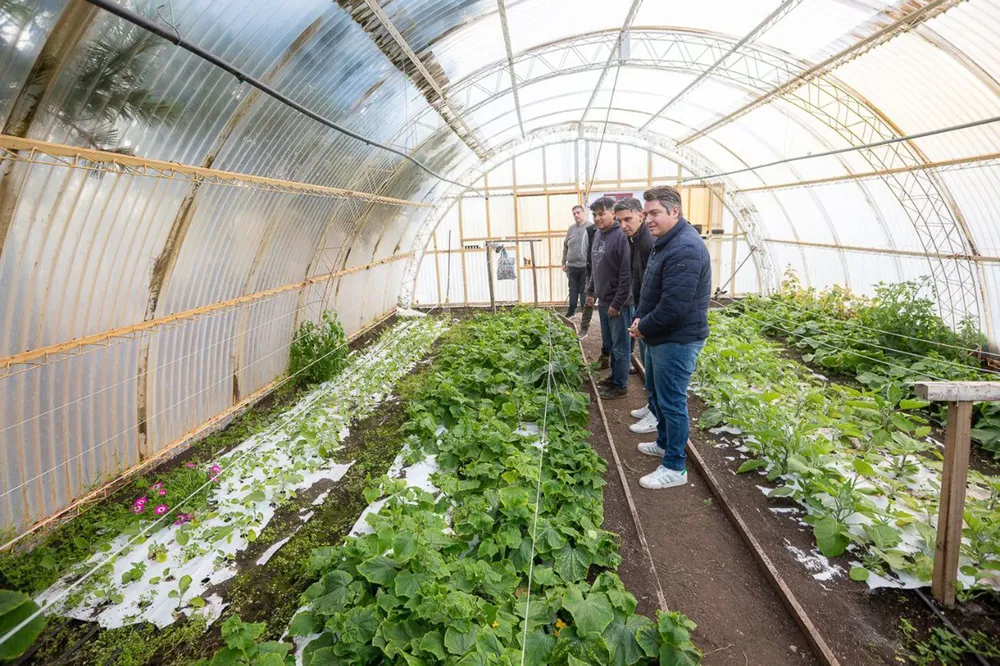 WhatsApp Image 2026-03-30 at 14.02.074