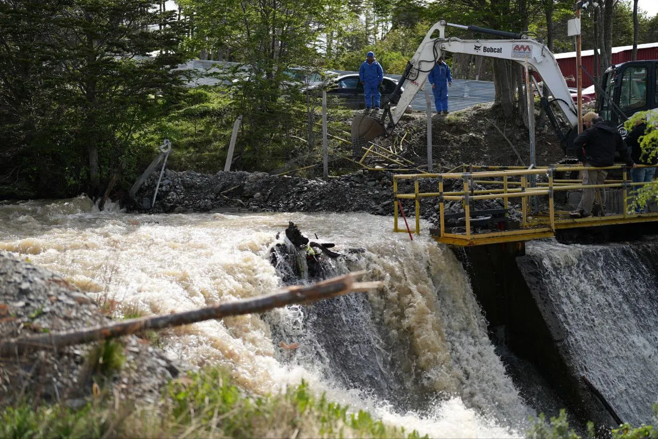 WhatsApp Image 2025-11-10 at 20.59.51