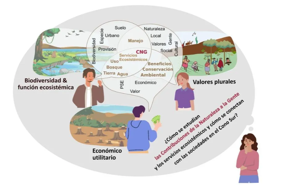 imagen 2 anderson_1762973459