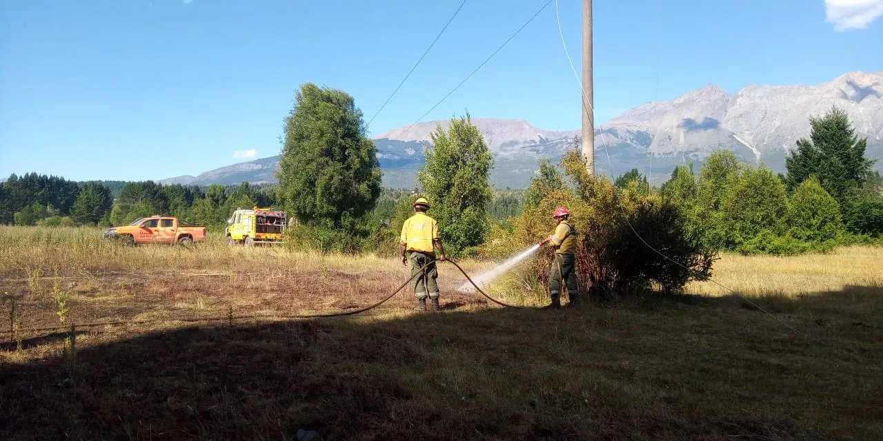 WhatsApp Image 2025-01-27 at 09.50.07