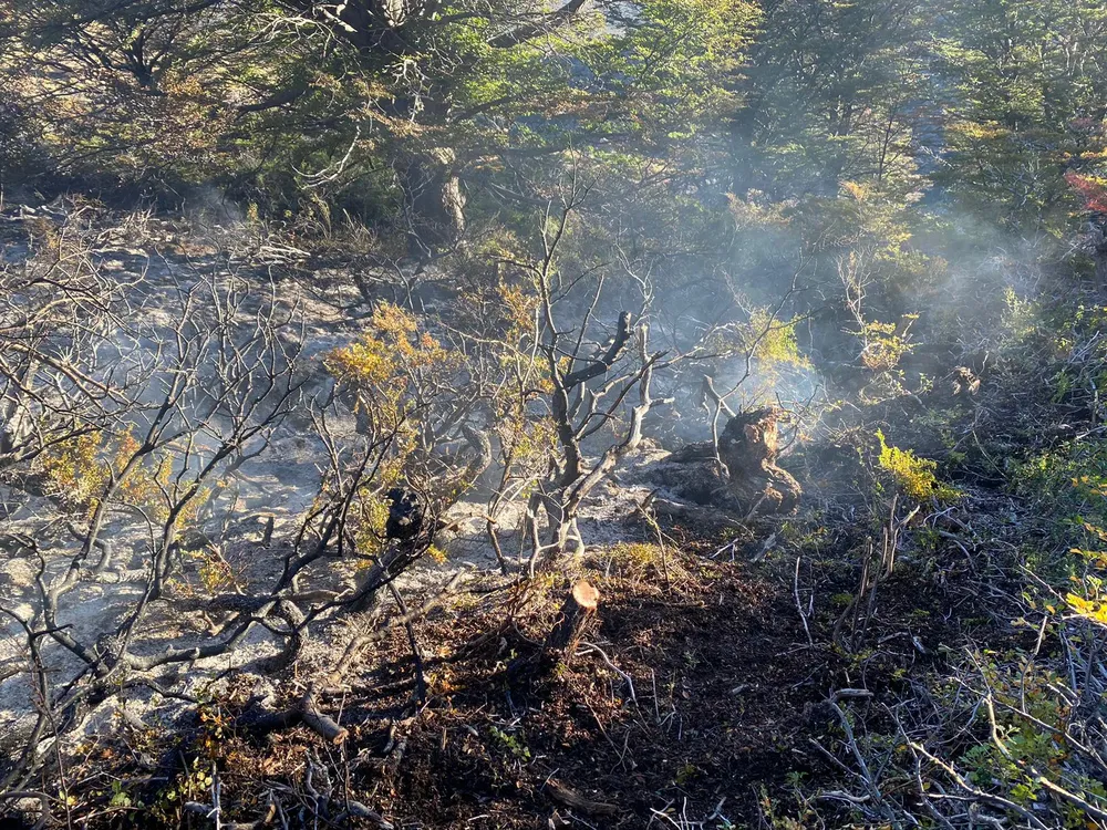 WhatsApp Image 2024-04-03 at 9.09.29 AM