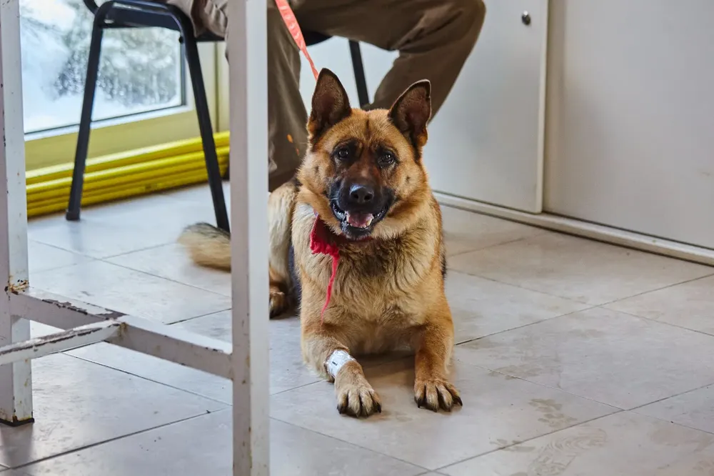 WhatsApp Image 2024-06-16 at 16.22.39