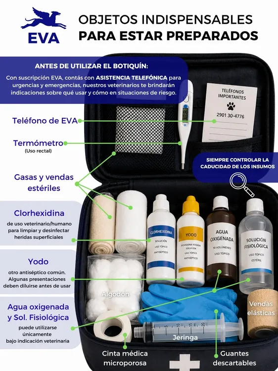 ¿Estás preparado-a para actuar en los primeros minutos de una emergencia 🐾🆘Un botiquín bien e (1)