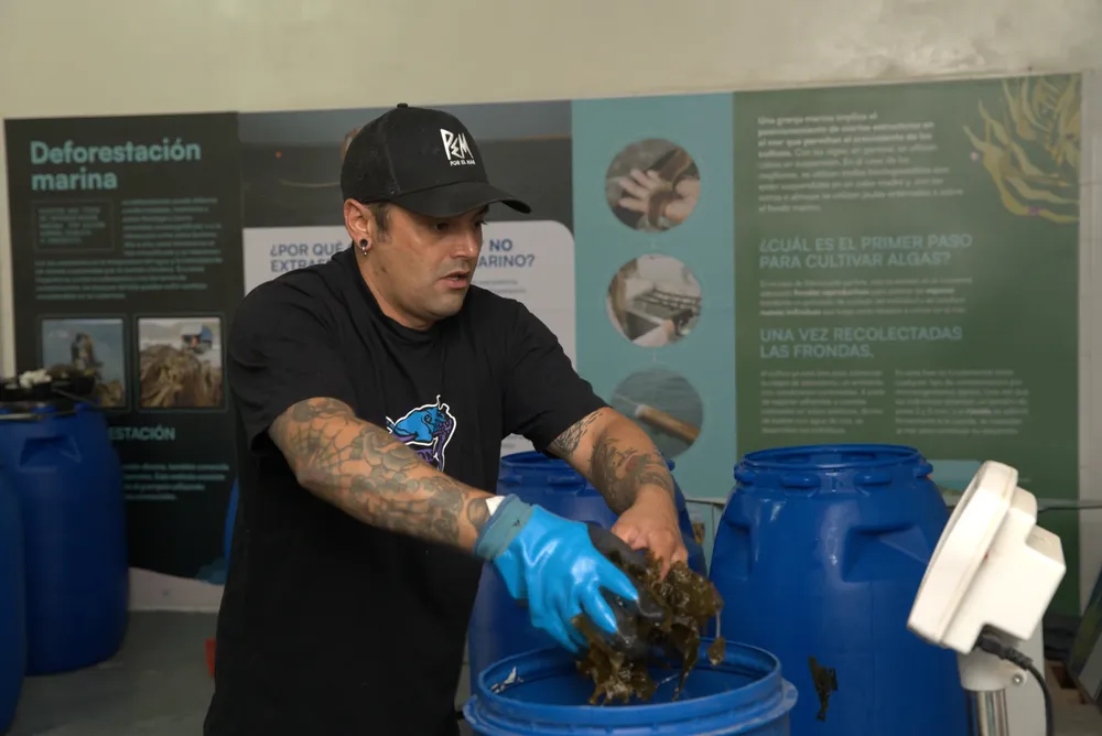 Cosecha de algas en San Julián, Foto Ailin Peirone