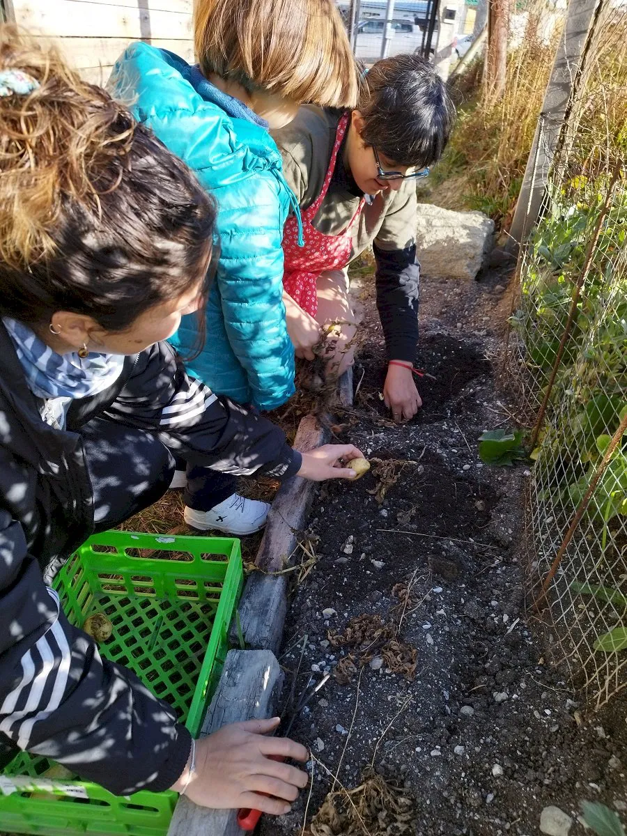 red%20calisa%20untdf%20%20huerta%20comunitaria%204_1744652459[1]