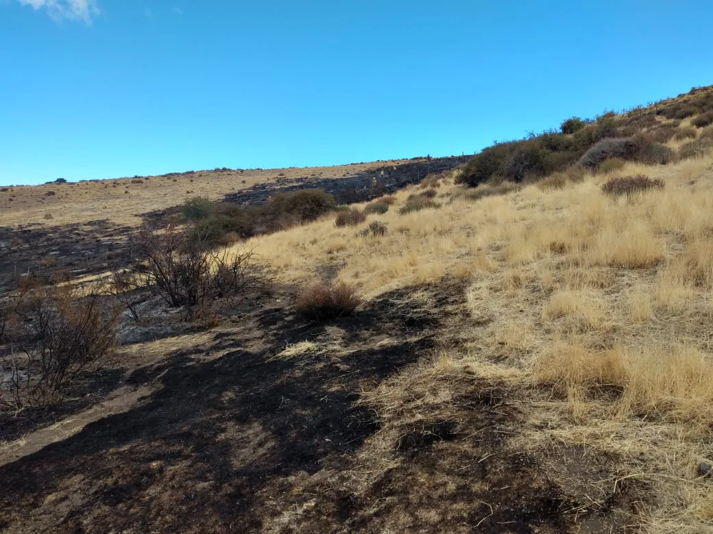 WhatsApp Image 2025-03-20 at 10.32.36