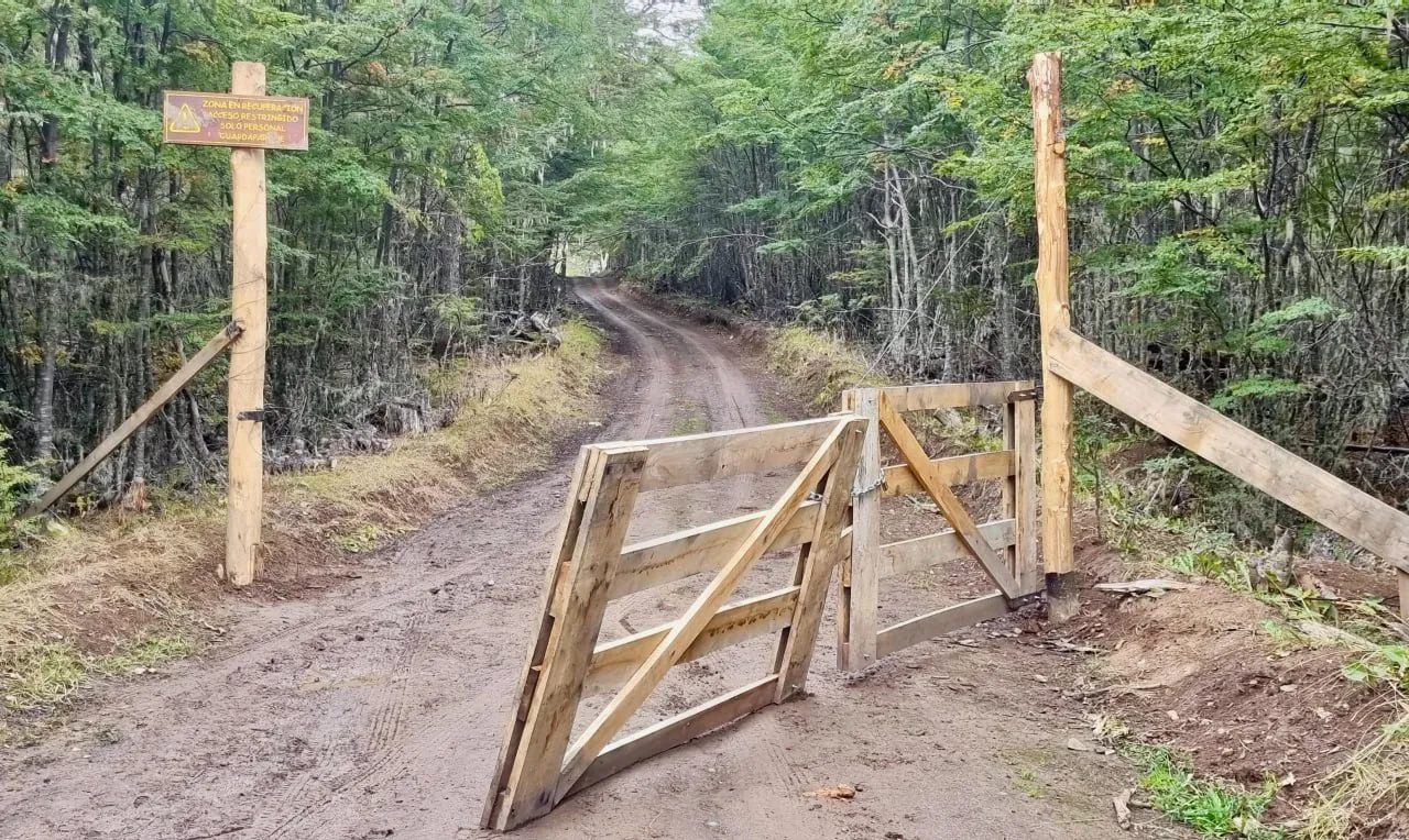 WhatsApp Image 2025-03-12 at 19.12.11