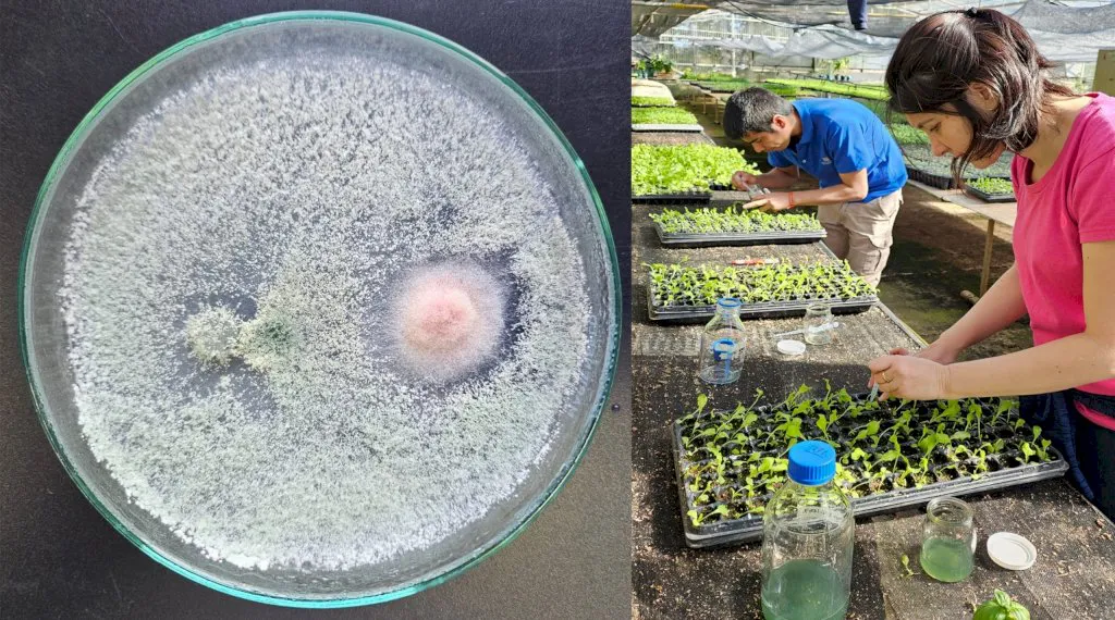 whatsapp image 2025-08-07 at 12.15.56_1754579808