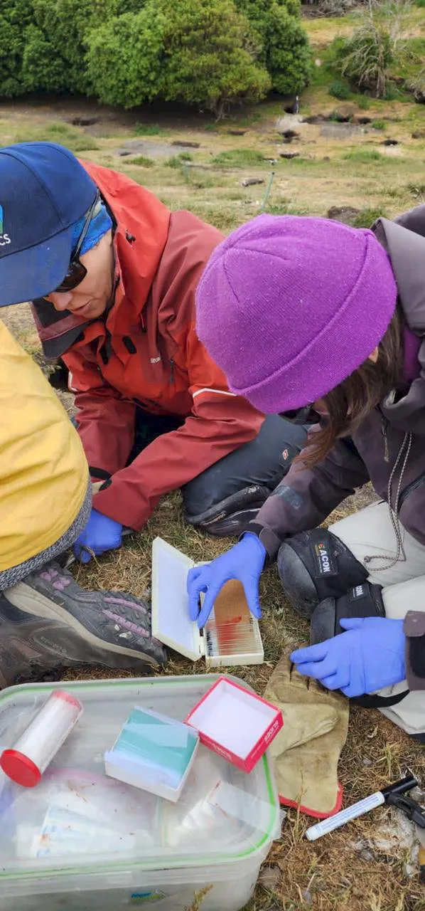 whatsapp image 2024-07-29 at 16.57.55 (1)_1722364748