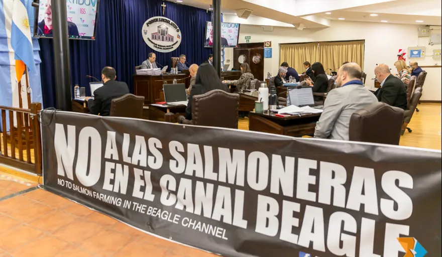 20251117193428_img-0966