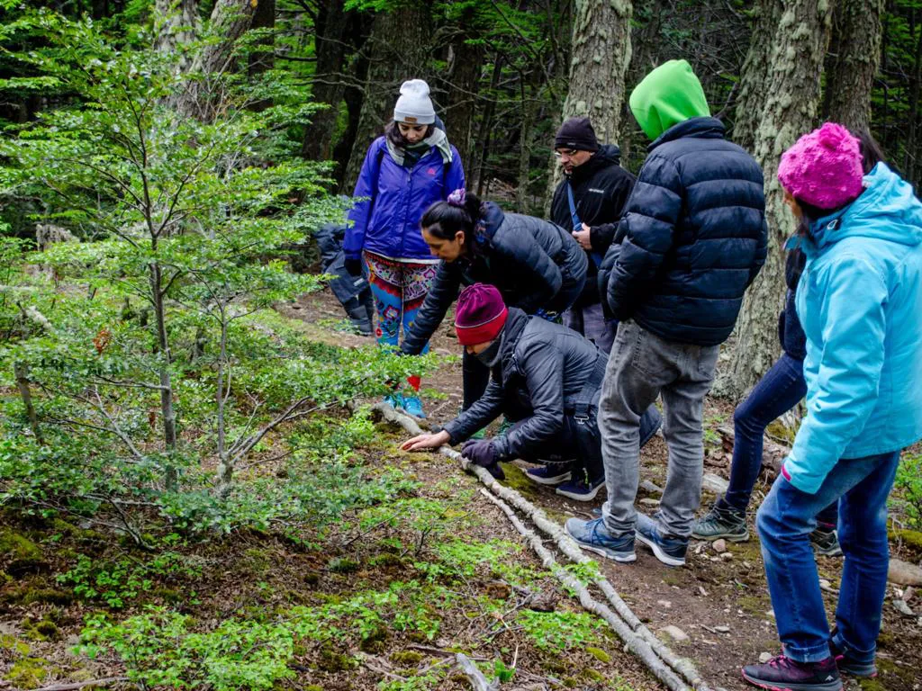 WhatsApp Image 2023-11-08 at 15.50.40