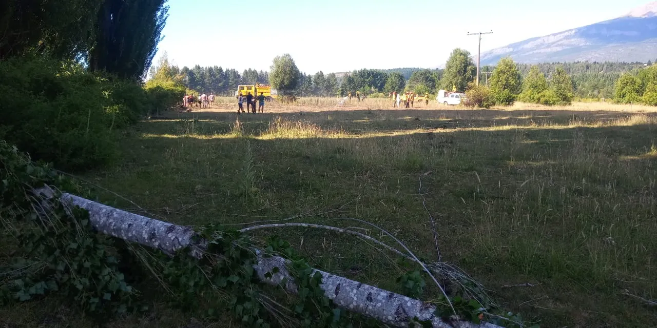 WhatsApp Image 2025-01-27 at 09.50.05 (1)