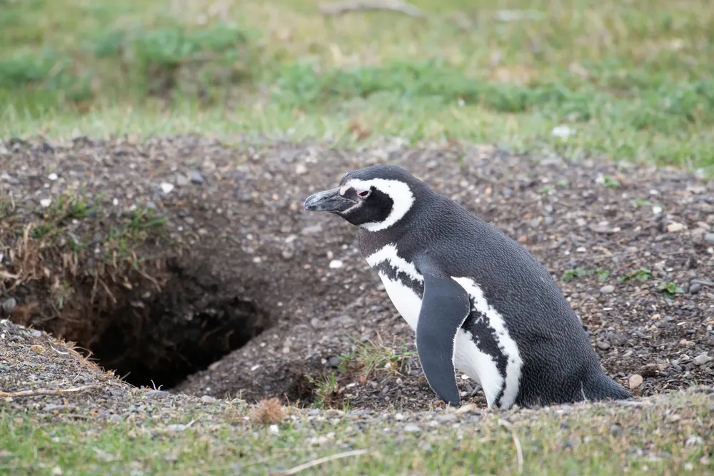 GP0STU22D_PressMedia