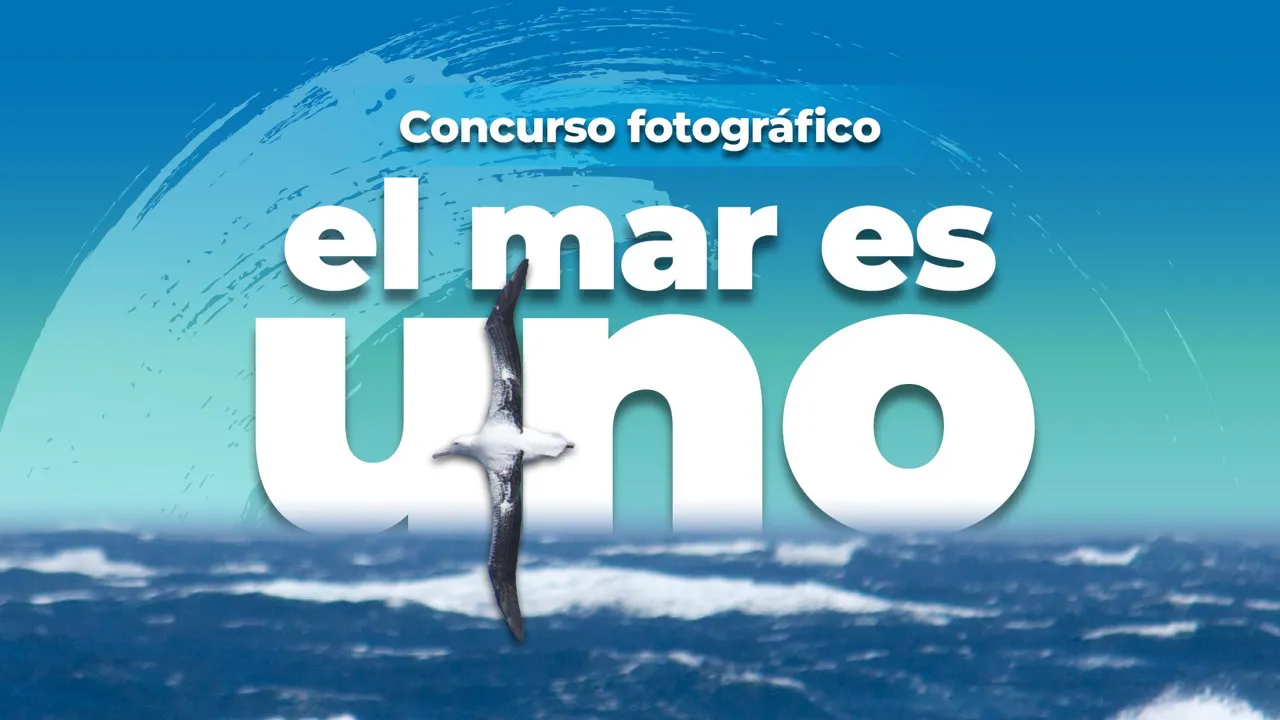 concurso_el_mar_es_uno_apn_intro