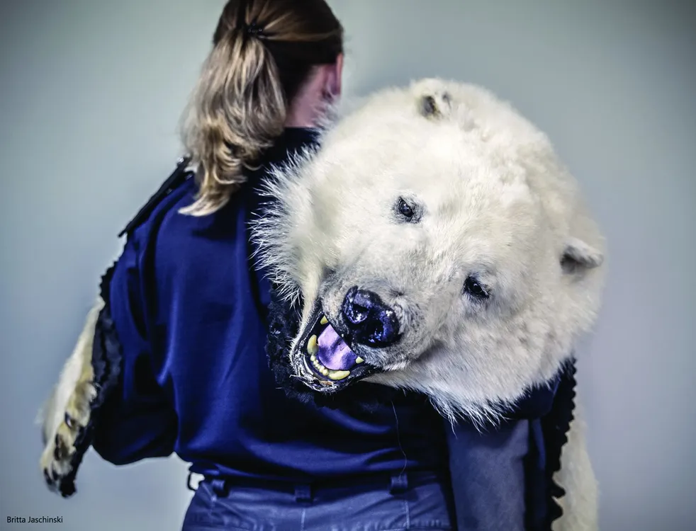 02_Britta.Jaschinski _Operation Polar Bear